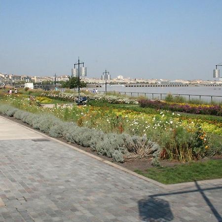 Ausone Beautiful Loft Apartment In Historical Center + Terrace And Parking Bordeaux Luaran gambar