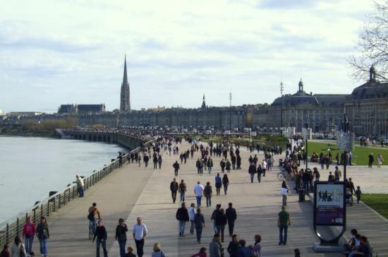 Ausone Beautiful Loft Apartment In Historical Center + Terrace And Parking Bordeaux Bilik gambar